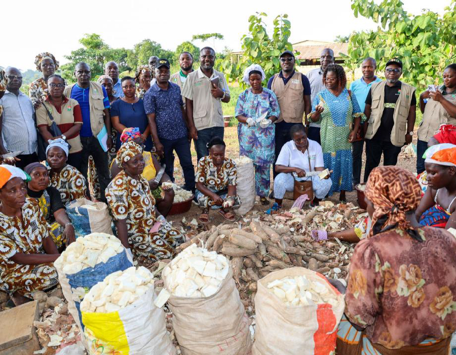 Unité de Transformation de manioc du "groupement Sanata" de N’douci : un modèle d’autonomisation des femmes visité par le PA-Psgouv et la BAD