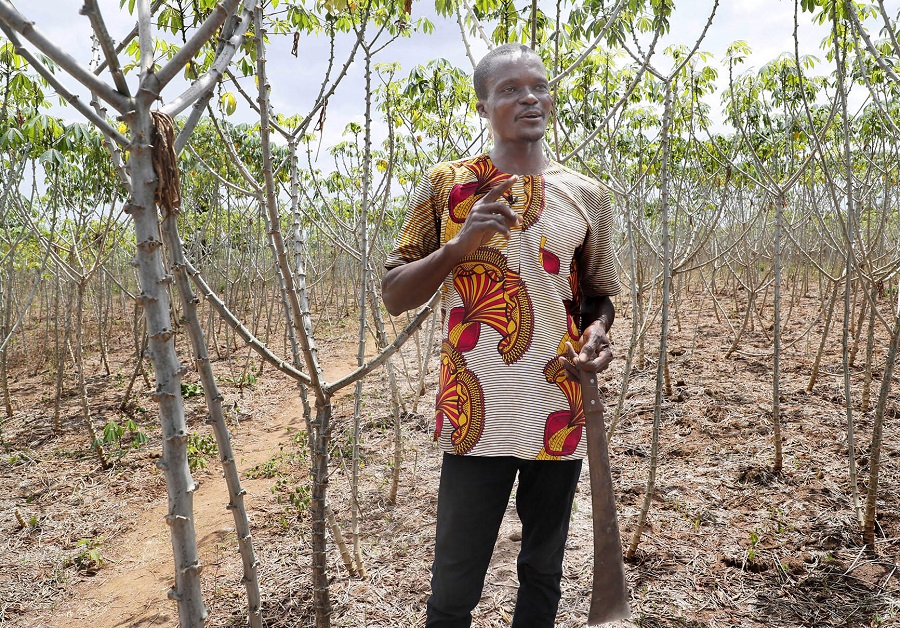 Cultures vivrières et maraîchères: le PA-PsGouv visite des champs dans le District de Yamoussoukro