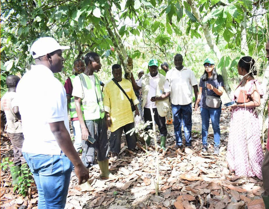 Restauration du couvert forestier ivoirien : la FAO satisfaite