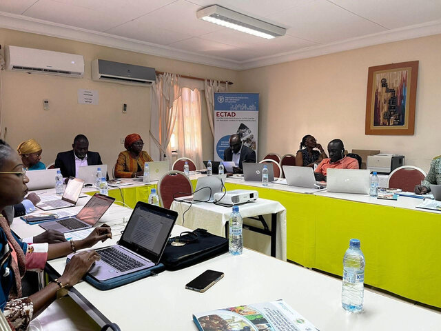 Santé vétérinaire : la deuxième vague des formateurs et mentors en formation à Grand-Bassam