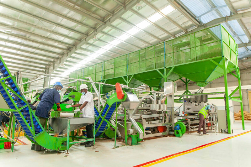 Yamoussoukro/ anacarde : un pôle pour conforter la place de leader mondial de la Côte d’Ivoire dans la production de la noix de cajou
