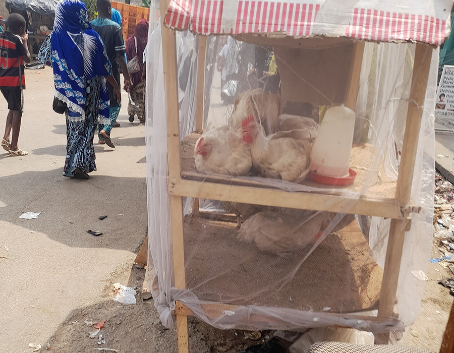 Kara Interdiction de vente de volailles et de produits de pêche dans les rues : la mesure n'est pas respectée