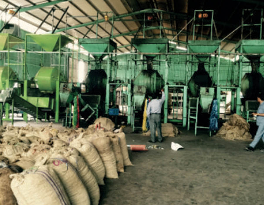 Transformation de la noix de cajou : une usine inaugurée à Loukoukro