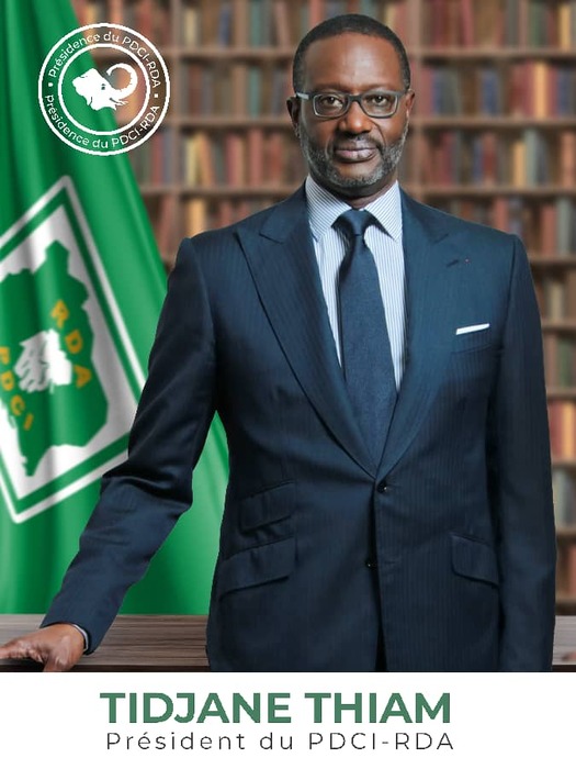 PDCI-RDA/ Tidjane Thiam répond à Jean Louis Billon :" j'ai occupé des postes par mérite, jamais par filiation"